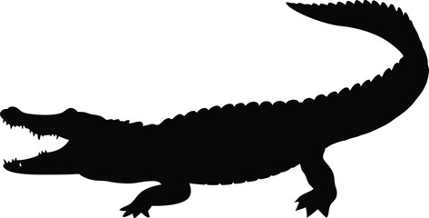 Silhouette of an alligator on a white background, vector illustration.
