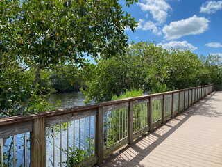 Wooden boardwalk in the Everglades over water and mangroves