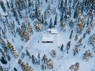 Top-down aerial view of a snow-covered cabin surrounded by pine forest in Norway during winter
