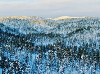 Wooden cabin in a snowy pine forest with distant mountains and scenic valley views in Norway