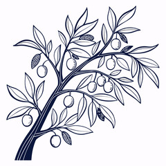 vector illustration of Cumquats