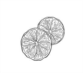 Two monochrome round orange slices vector illustration painted by black inks. Etching drawing of citrus fruit wedges. Aromatic ingredient for juice packaging, healthy food branding, beverage decor