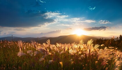 Sunset on Peaceful Grassland with Gentle Breeze, Scenic Natural Landscape / 夕暮れの草原、穏やかな風が吹く美しい自然風景