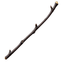 A slender, natural twig with small branches protruding, set against a plain background, showcasing its organic shape and texture, ideal for nature-themed projects or crafts