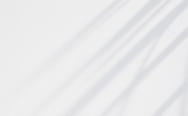 Fototapeta premium Natural white background with a soft atmosphere