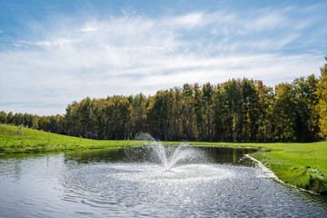 A serene and tranquil pond featuring a beautiful fountain amidst a lush green landscape