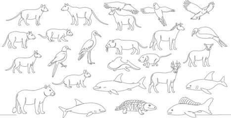 24 Animals: Single Line Illustrations