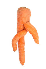 Deformed carrot forked organic root vegetable on white. Twisted produce due to rocky soil...