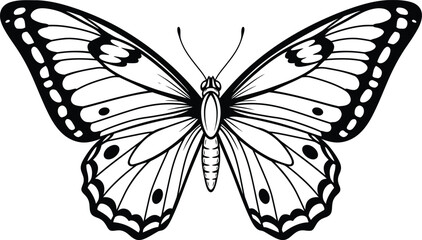 Symmetrical Butterfly Outline © Tharindu