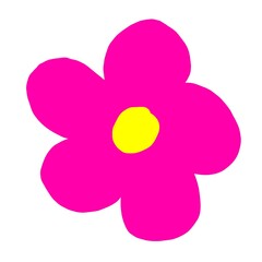 pink flower on white background