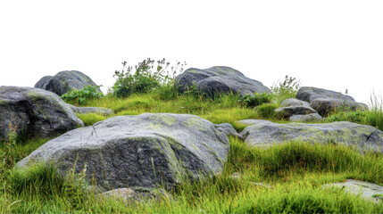 Rocky Outcrop Surrounded by Vibrant Green Grass and Wildflowers in a Natural Landscape