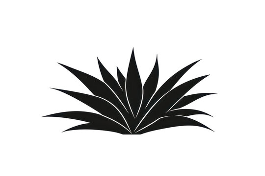 black agave plant on white background clip art preview