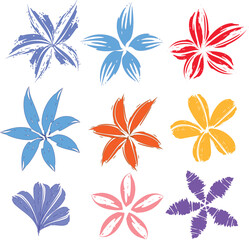 set of colorful floral elements