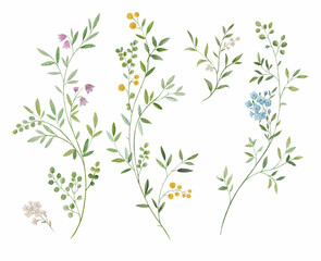 Set of watercolor green leaves elements. Collection of botanical isolated on white background suitable for wedding invitation, save the date, thank you, for greeting card. Delicate decorative branches