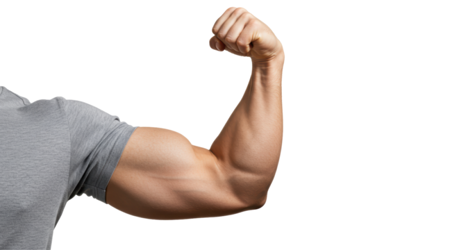 Isolated Muscular Arm Flexing Bicep for Strength