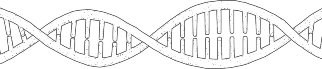 Outlined DNA Strand, Black and White Illustration