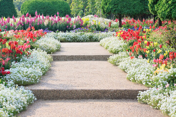Walkway in the garden with colorful flower in the summer season.