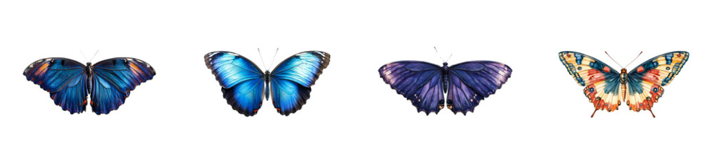 Obraz premium Four different butterfly specimens, isolated, wings open, cut out transparent