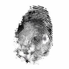 HighResolution Fingerprint Image Black and White Texture for Backgrounds and Designs isolated on white Background