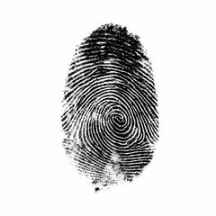 HighResolution Black Fingerprint Image Perfect for Security  Identity isolated on white Background
