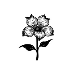 Elegant flower illustration with delicate linework for artistic applications