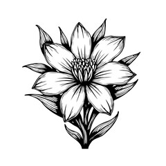 Detailed floral line art featuring a blooming flower with delicate petals