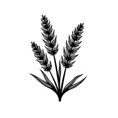 Elegant botanical illustration showcasing stylized wheat stalks on a white backdrop