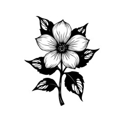 Elegant monochrome floral illustration showcasing delicate petals and foliage detail