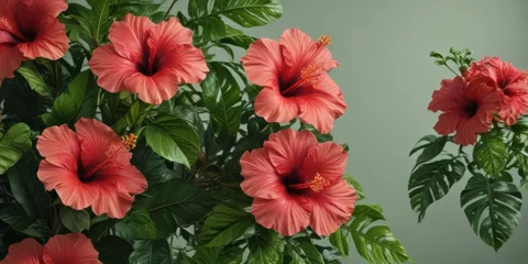 Fototapete Rund Vibrant hibiscus blooms, lush green tropical foliage, exotic flowers ,  vibrant colors,  tropical garden © แสงเดือน สุขทั่วญาติ