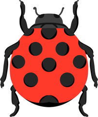 illustration ladybug