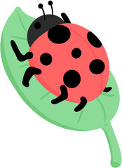 illustration ladybug