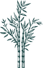 Obraz premium Elegant Bamboo Silhouette with Leaves, Minimalist vector of tall bamboo stalks with slender leaves, perfect for zen, nature, or Asian-themed designs. 