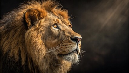 Fototapeta premium Majestic Gaze: The Lion King in Photorealistic Glory