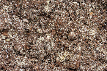 The texture of the earth in close-up