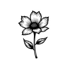 Monochrome Floral Illustration with Delicate Petals and Detailed Stem Design
