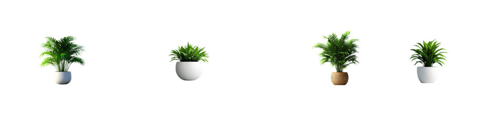 Obraz premium Various potted plants in decorative containers, cut out transparent