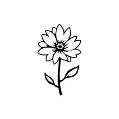 Elegant Floral Illustration: A Delicate Daisy-like Flower in Simple Black and White
