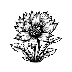 Detailed monochrome floral drawing featuring a blossomed flower with leaves