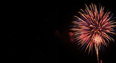 Colorful Fireworks Display Against Night Sky