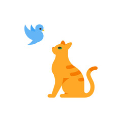 Orange tabby cat sitting and looking up at a small blue bird flying in the air on a white background scene
