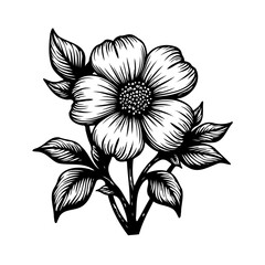 Intricate floral illustration showcasing botanical art with detailed linework and shading