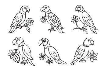 Parrot With Flower Coloring Page Vector Set