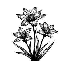 Elegant botanical illustration: A monochrome floral arrangement of stylized lilies