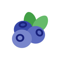 A flat vector illustration of three blueberries with two green leaves on a white background image design