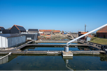 Basins with mature, ready-for-sale living Zeeuwse creuse oysters harvested at Oosterschelde oysters breeding farm in Zeeland, Yerseke, Netherlands