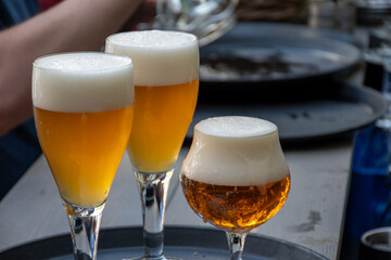 Belgian beer in glass in old brewery in Bruges, strong triple, tasty beverage, lunch with beer, tourist destination, Flanders, Belgium