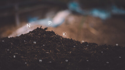 Fertile soil contains nitrogen, phosphorus, potassium, and other components which are various micronutrients. that are appropriate and important to plants