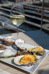 Eating of fresh Zeeuwse creuse oysters on farm in Yerseke with living harvested oysters, Oosterschelde, Zeeland, Netherlands.Variety of oysters on plate served with glass of white chablis wine.