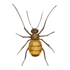 vector illustration of a black beetle