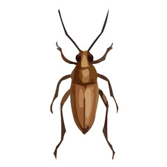 insect vector illustration